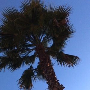 Meet your Posher, Brooklyn